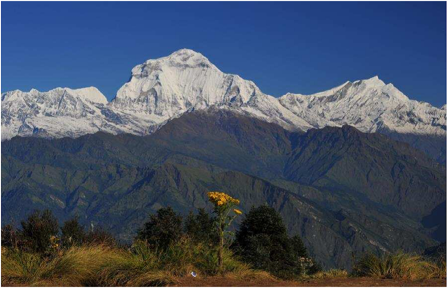 Luxury Lodge Trek 